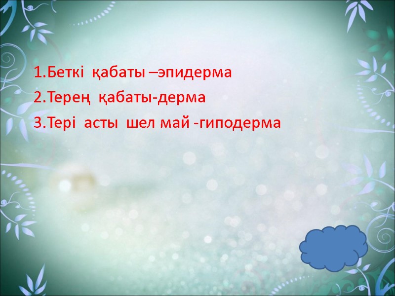 1.Беткі  қабаты –эпидерма 2.Терең  қабаты-дерма 3.Тері  асты  шел май -гиподерма